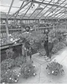  ?? COURTESY OF TEENS GROW GREENS ?? Plants grown in a greenhouse can use help adjusting to the outdoors. Shown is Weber's Greenhouse in Milwaukee.