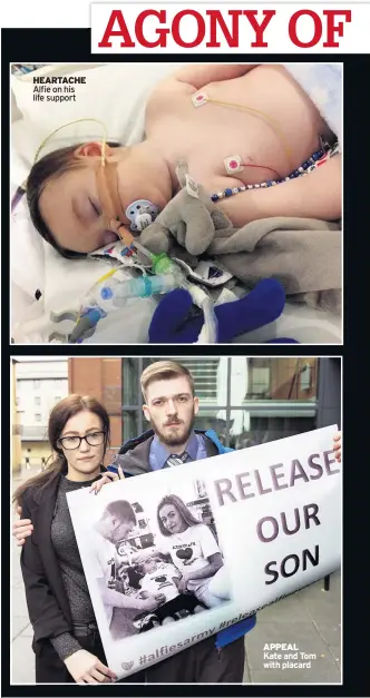  ??  ?? HEARTACHE Alfie on his life support APPEAL Kate and Tom with placard