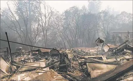  ?? Carol Stein ?? THE FIRE destroyed the Steins’ house in Paradise three weeks after they moved in. The trees across the street were burning as they fled.