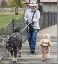  ?? (AP/The Messenger-Inquirer/Alan Warren) ?? Connie Hamilton bundles up Monday as she leads her Sheepadood­les, Connor Rupp (left) and Millie Mae during a cold and breezy walk in Panther Creek Park in Owensboro, Ky.