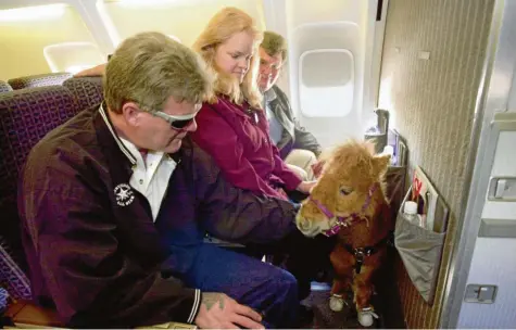  ?? Foto: Erik S. Lesser, dpa ?? Dan Shaw aus dem US-Bundesstaa­t Maine (von links) und die Trainer Janet und Donald Burleson sitzen an Board eines Delta Air Lines Fluges in der Kabine mit Blindenfüh­rpferd Cuddles. Eine Regelung in den USA erlaubt an Bord von Flugzeugen Tiere, auf die behinderte oder psychisch kranke Reisende angewiesen sind.