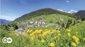  ??  ?? ¿Un mundo perfecto para Heidi? En la agricultur­a suiza convencion­al también se utilizan pesticidas y herbicidas.