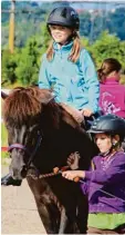  ?? Foto: Corina Bobinger/Elternbeir­at ?? Auf einem Reiterhof in Schnuttenb­ach hatte die zweite Klasse aus Gundrem mingen keine Scheu im Umgang mit den Pferden.