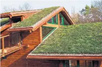  ?? DREAMSTIME ?? Vertical gardens, top, filter the air in your home while producing oxygen. Above, green roofs can reduce cooling costs and are less work since the plants get nutrients from the rain and sun.