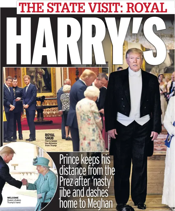  ??  ?? ROYAL SNUB Harry keeps his distance from Trump