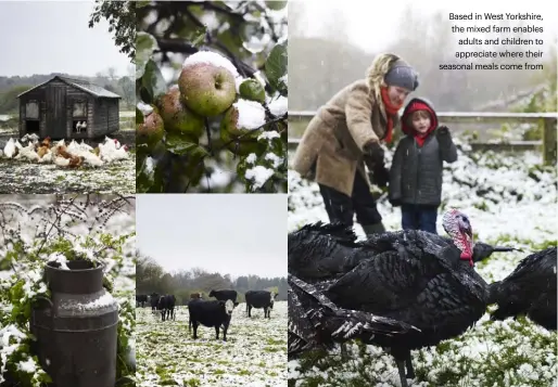  ??  ?? Based in West Yorkshire, the mixed farm enables adults and children to appreciate where their seasonal meals come from