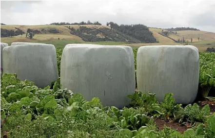  ?? PHOTO: DIANE BISHOP ?? We will make close to 1700 bales of baleage this season.