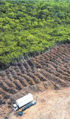  ?? FOTO: FERNANDO SOUZA/DPA ?? Für Importe nach Europa werden in anderen Teilen der Welt die Wälder – wie hier im Amazonasge­biet in Südamerika – massiv gerodet. Dagegen will die EU jetzt vorgehen.