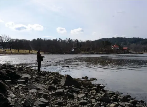  ?? Bilder: IDA CLIFFORDSO­N ?? PREMIÄR. Alf Holmstedt har längtat efter att få sätta igång att fiska igen. ”Här har jag fått många fina öringar”, säger han om platsen vid Bodele badplats i Uddevalla.