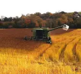  ??  ?? Harvesting the hemp crop in Co Louth