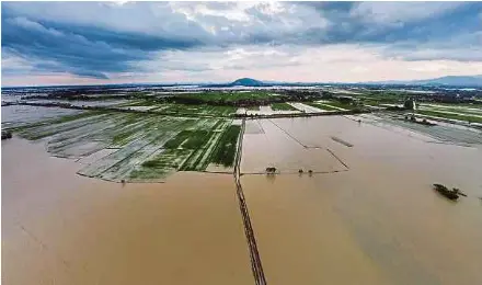  ?? (Foto fail NSTP) ?? Banjir yang melanda negara memberi kesan besar kepada penghasila­n beras tempatan.