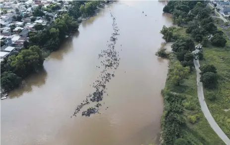  ?? AP ?? A new group of migrants bound for the US border wade across the Suchiate River, the border between Guatemala and Mexico