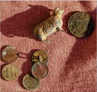  ?? MADDIE MALHOTRA/THE NEW YORK TIMES ?? Artifacts, including a large 1822 cent piece and a lead toy sheep, were recovered May 17 by Nikoline Bohr in Nantucket. Members of the Ring Finders network are volunteers who can be called upon to find lost items, often on a rewards-only basis.