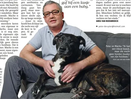  ?? FOTO JAN VAN DER PERRE ?? Peter en Macho: “Ik had een nieuw baasje,maar die mocht geen honden houdenvan zijn huisbaas.”