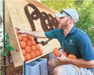  ?? CHRIS LANDSBERGE­R/THE OKLAHOMAN FILE ?? Matthew Janda stacks pumpkins as he works to set up pumpkin murals for Pumpkinvil­le 2018 at the Myriad Gardens in Oklahoma City, Okla. on Wednesday, Oct. 3, 2018.