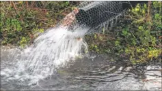  ??  ?? A temporary pipe pumps waste water into the Nailbourne