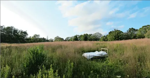  ?? COURTESY I-PARK ?? An art installati­on by Chinese landscape architect Senbo Yang sat in the swamp marsh landscapes of I-Park in East Haddam.