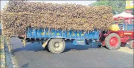  ?? HT PHOTO ?? ■ A tractor-trailer blocking the road outside Indian Sucrose Mill in Mukerian on Sunday.