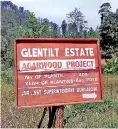  ??  ?? High value (agarwood) timber planting