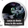  ??  ?? Lucas se dooie vrou in die water.