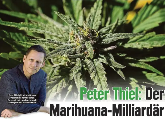  ??  ?? Peter Thiel gilt als streitbare­r Visionär: Er verhalf schon Facebook mit zum Durchbruch, sahnt jetzt mit Marihuana ab.