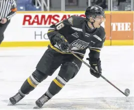  ?? CONTRIBUTE­D ?? Fredericto­n Red Wings’ newcomer Matt Gordon, a 20-year-old forward, played with the Truro Bearcats in the 2019-20 season before being called up to the QMJHL’s Cape Breton Eagles at mid-season.