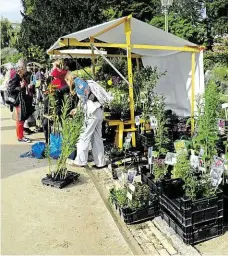  ?? Se skutečnými rostlinami i pěstiteli FOTO O. FOUS ?? Trh v berlínském Dahlemu