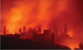  ?? Getty Images Photograph: Josh Edelson/AFP/ ?? Flames from the Camp fire burn near Big Bend, California.