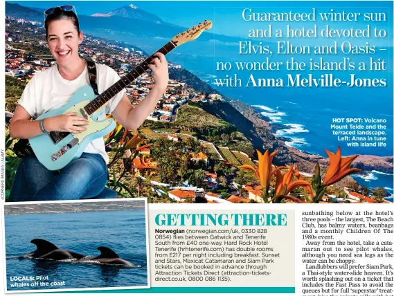  ??  ?? LOCALS: Pilot whales off the coast HOT SPOT: Volcano Mount Teide and the terraced landscape. Left: Anna in tune with island life