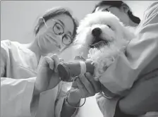  ?? PROVIDED TO CHINA DAILY ?? Employee Wu Fangyuan (left) gives an injection to a pet dog at a pet hospital in Urumqi, Xinjiang Uygur autonomous region.