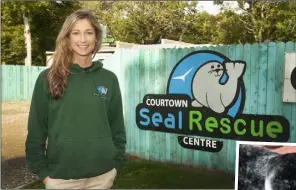  ??  ?? Melanie Croce of Seal Rescue Ireland and seal pup Blazar (right).