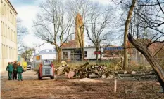  ?? Foto: Bernd Hohlen ?? Derzeit werden insgesamt 19 Bäume auf dem Areal der früheren Spicherer-Schule gefällt.