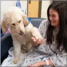  ?? The Canadian Press ?? Kitchi, a golden doodle therapy dog, interacts with patient Maeve Daoust, at the Montreal Children’s hospital Friday