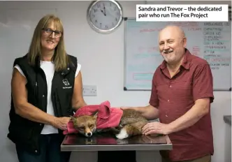  ??  ?? Sandra and Trevor – the dedicated pair who run The Fox Project