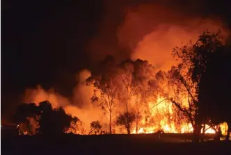  ?? Foto: Corleen Barnard ?? Die brand in die rivierloop langs Van der Rietstraat.