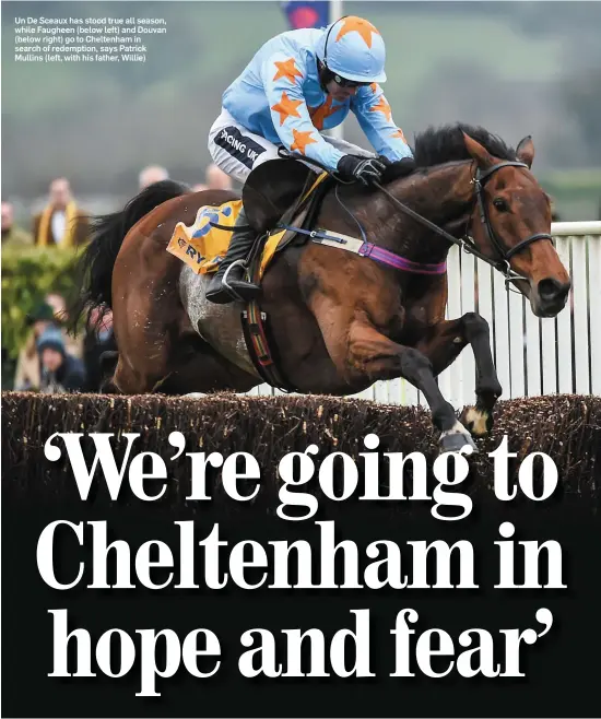  ??  ?? Un De Sceaux has stood true all season, while Faugheen (below left) and Douvan (below right) go to Cheltenham in search of redemption, says Patrick Mullins (left, with his father, Willie)