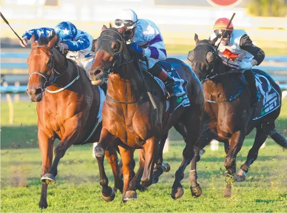  ?? Picture: TRACKSIDE PHOTOGRAPH­Y ?? Spright wins the WJ Healy at Doomben last year. The mare is favourite for Saturday’s Group 1 Goodwood (1200m) at Morphettvi­lle.