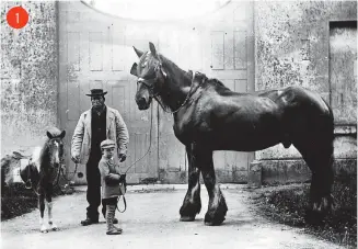  ?? ?? Stable worker and one of the Codrington children at Dodington House, about 1895. Dodington was the biggest country house in the Yate area and in 1881 its owners, the Codrington family, had 17 house servants and several more estate workers, including seven stable hands, one of whom appears to have been the man in this photo. A Black man working in a country house in the 1890s would have been quite unusual and the exhibition organisers are hoping to find out more about him. The house is nowadays owned by Sir James Dyson.