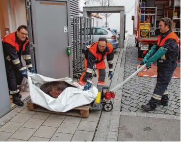  ?? Fotos: Jakob Stadler, Filippo Muscatello ?? Feuerwehrl­eute bringen die tote Bache aus dem Modegeschä­ft. Die Sau war schon vor den Schüssen aus den Polizeiwaf­fen ver letzt.