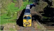  ??  ?? KiwiRail says switching to diesel only on the main trunk line makes sense environmen­tally and financiall­y.