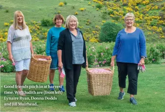  ??  ?? Good friends pitch in at harvest time. With Judith are (from left) Lynaire Ryan, Donna Dodds and Jill Muirhead.