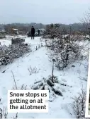  ??  ?? Snow stops us ge ing on at the allotment