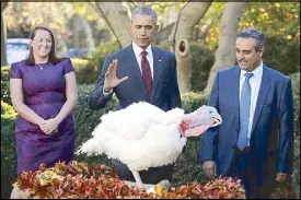  ?? REUTERS ?? US President Barack Obama pardons the National Thanksgivi­ng Turkey during the 68th annual presentati­on of the turkey in the Rose Garden of the White House in Washington Wednesday.