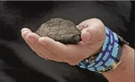  ??  ?? GERARD BARRON, CEO of the Metals Co., holds a nodule from the seafloor.