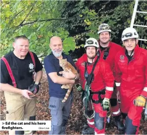  ?? Glos Live ?? Ed the cat and his hero firefighte­rs.