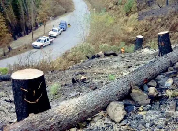  ??  ?? Uno scorcio del Monte Serra oggi nella fotografia pubblicata sul web dal sindaco di Calci Massimilia­no Ghimenti. Sotto la Certosa di Calci assediata dalle fiamme la notte del 24 settembre. A centro pagina don Antonio Cecconi, parroco di Calci, sulle Cime di Lavaredo