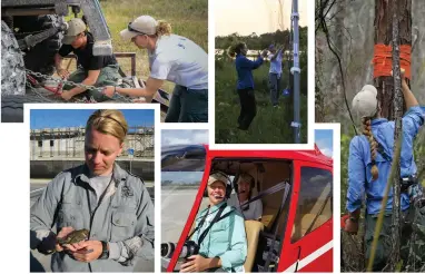  ??  ?? Named 2018 Resource Manager of the Year, fisheries and wildlife biologist Kathleen Smith is handson in the field at the Corkscrew Regional Ecosystem W atershed Wildlife and Environmen­tal Area.