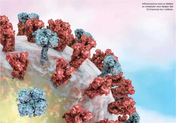  ??  ?? Influensav­irus som er dekket av molekyler som hjelper det til å komme inn i cellene.