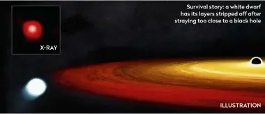  ?? ILLUSTRATI­ON ?? X- RAY
Survival story: a white dwarf has its layers stripped off after straying too close to a black hole