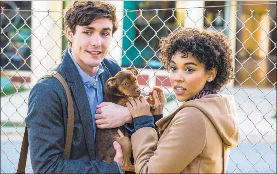  ?? James Dittiger Columbia Pictures ?? LUCAS AND OLIVIA (Jonah Hauer-King and Alexandra Shipp) lavish affection on the rescued pit-bull mix Bella in Charles Martin Smith’s family adventure.